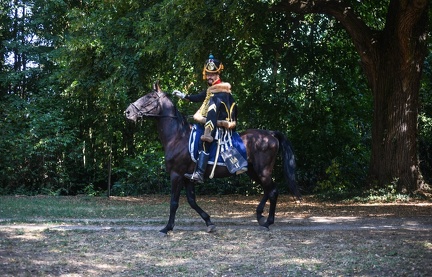 DSC 1242